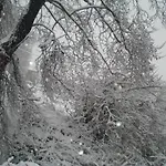 Affittacamere Archontiko Koti 3*