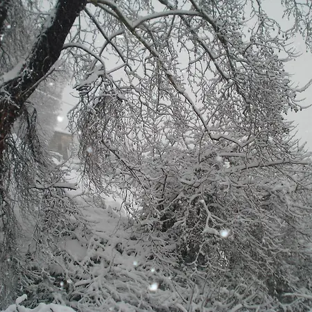 ゲストハウス Archontiko Koti 3*